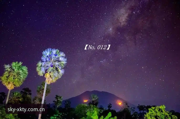 揭秘星空体育APP体验使用技巧：资深用户才知道的5个高效玩法